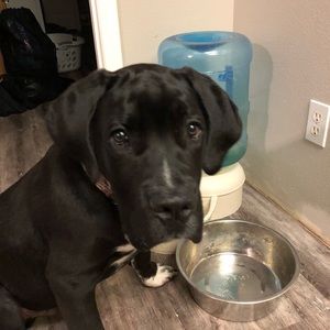 Meet your Posher, Brandy